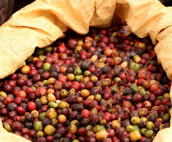 Gestionnaire de produits