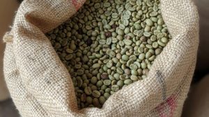 Café Vert Robusta de Madagascar