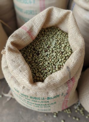 Café Vert Robusta de Madagascar