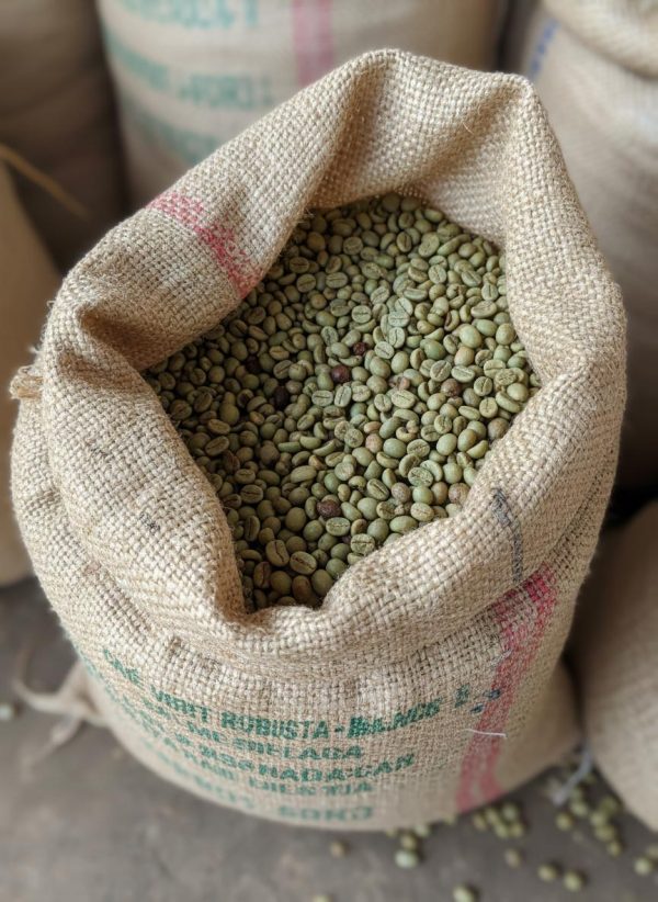 Café Vert Robusta de Madagascar