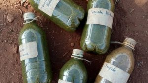 Fongicide biologique – Protection Naturelle et Efficace des Cultures