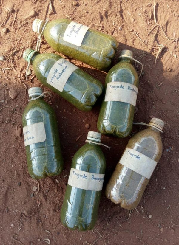 Fongicide biologique – Protection Naturelle et Efficace des Cultures