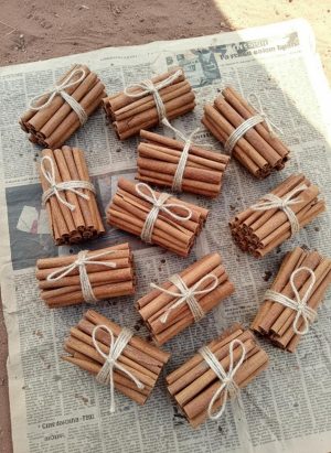 Bâton de Cannelle de Madagascar – L’Excellence Naturelle