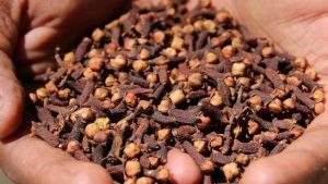 Clous de Girofle – Arôme Intense & Qualité Premium
