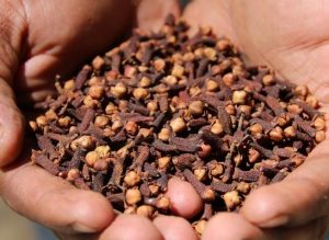 Clous de Girofle – Arôme Intense & Qualité Premium