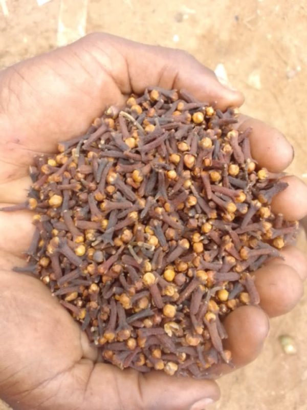 Clous de Girofle – Arôme Intense & Qualité Premium