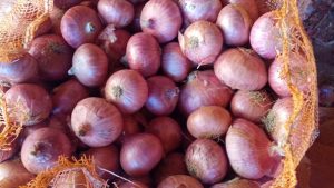 Oignon Rouge