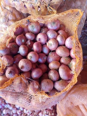 Oignon Rouge